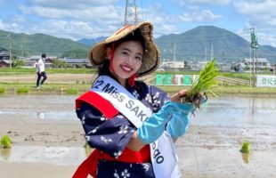 登紀子の田んぼ」にて行われた山田錦の田植えイベントに、2022 Miss SAKE 兵庫 清洲理子が参加